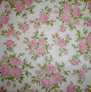 131 Roses (131) - CS